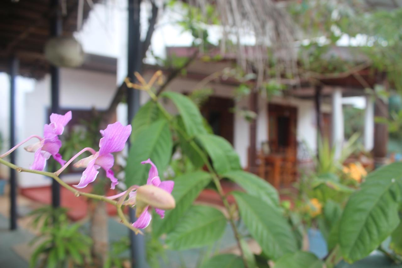 تانجالي Julie Guest House المظهر الخارجي الصورة